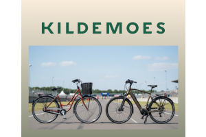 Elcykel eller almindelig cykel, hvad er forskellen?