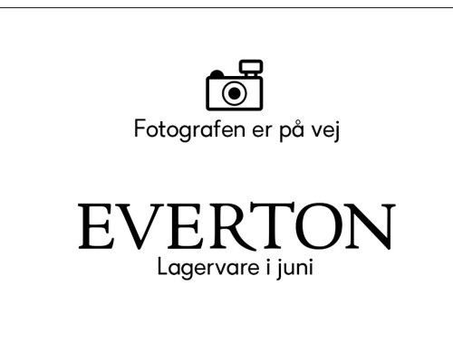 Everton Grevinden dame elcykel grøn